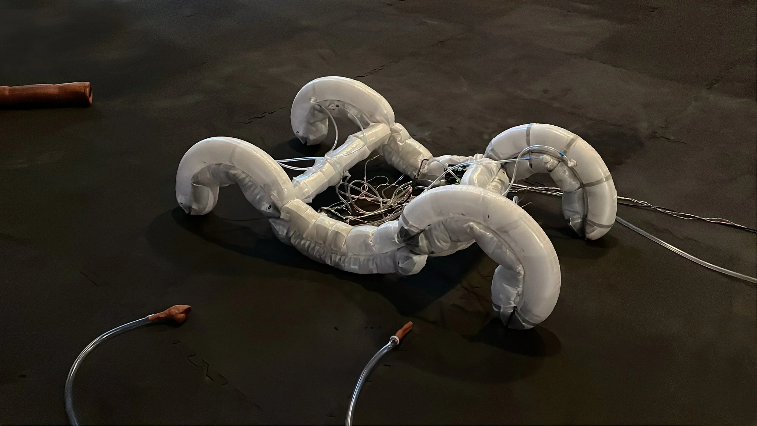 Dual Pneumas — Chico MacMurtrie